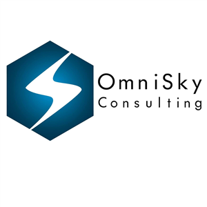 OMNISKY CONSULTING LLC logo